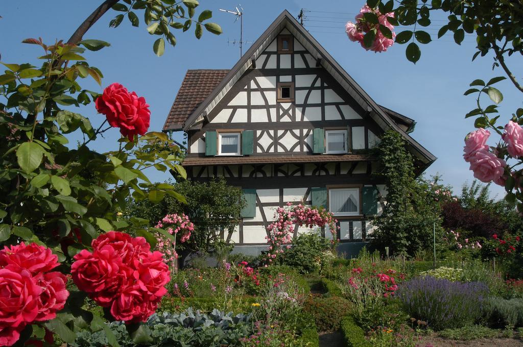 Pflugwirts Hotel Und Gasthaus 오버키르히 외부 사진